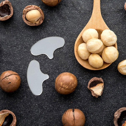 10pcs Macadamia Nut Opener Shell Opener with Iron Blade for Easy Nut Opening