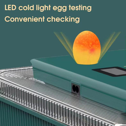 Fully Automatic Egg Incubator New 25 Capacity LED Display for Hen Duck Quail