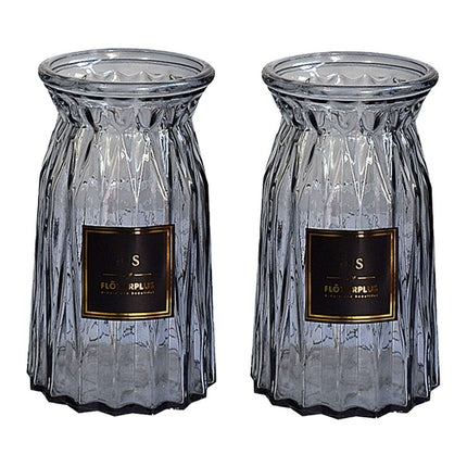 2 Pcs Glass Vase Hydroponic Flower Arrangement Vase for Living Room Decoration