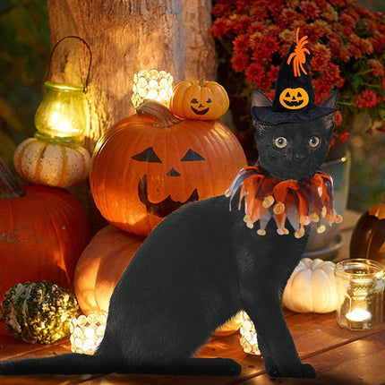 Halloween Cat Costume Skull Pattern Hat and Scarf Set Pet Cape Accessories