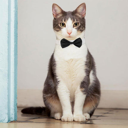 2pcs Pet Bow Tie Collar Dog Cat Suit Dress Accessories Adjustable Neck Strap