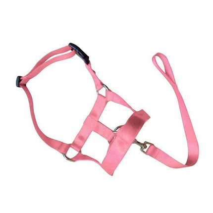 Pink Dog Training Head Collar Halter Stop Pulling Training Tool Harness Strap Leader - Aimall
