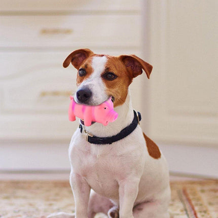 Bite Resistant Latex Pig Dog Toy Sounding Pet Chew Toy for Teething Puppies