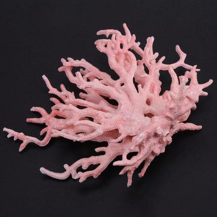 Soft Coral Realistic Water Plants Aquarium Decoration Fish Tank Seawater Set