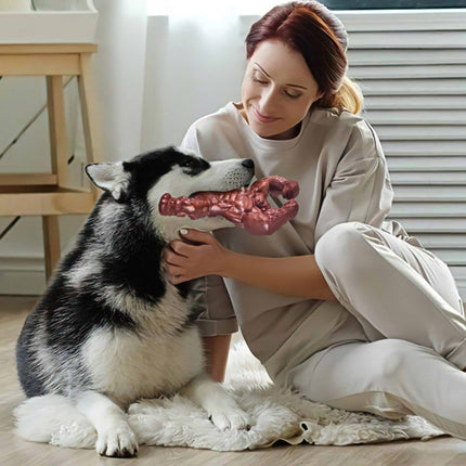 Durable Dog Chew Toy for Teething Nylon Bone Relieves Anxiety Teeth Cleaning Aid
