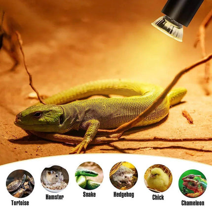 3PCS Reptile Heating Light Bulb UVA UVB Tortoise Turtle Lizard UV Basking Lamp