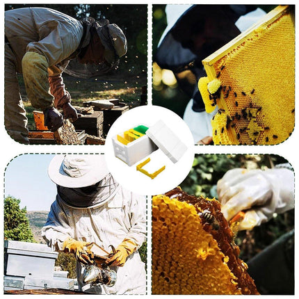 Foam Beekeeping Breeder Box Pollination Bucking Box Beehive Tool