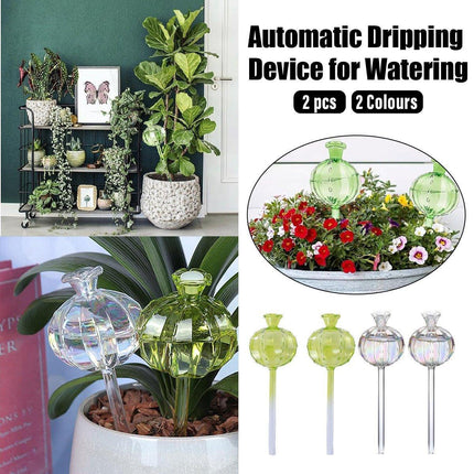 2PCS Automatic Glass Watering Cactus Plant Flower Self Drip Irrigation Tool