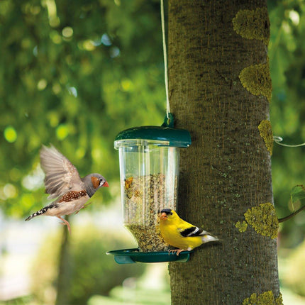 Clear Plastic Automatic Bird Feeder Suspended Suction Cup Feeder with Cover