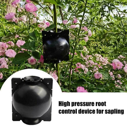 50pcs Plant Rooting Device High Pressure Grafting Box for Seedling Branch Garden