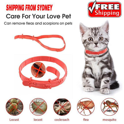 10PCS Flea Collars Pet Cat Kitten Puppy Dog Adjustable Anti Tick Pest Control AU - Aimall