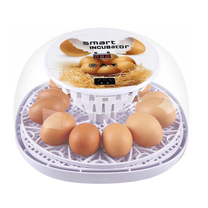 Automatic Small Egg Incubator for Chicken Pigeon Efficient Breeding Equipment