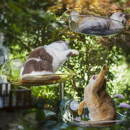 Cat Hammock Bed Glass Hanging Basket Clear Pet Nest Elevated Sleeping Bed