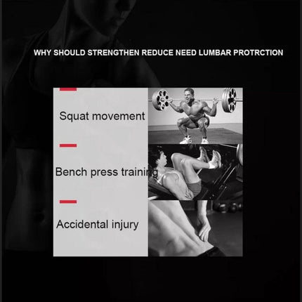 Fitness Weight Lifting Belt Barbell Dumbell Training Back Support Men Women M - Aimall