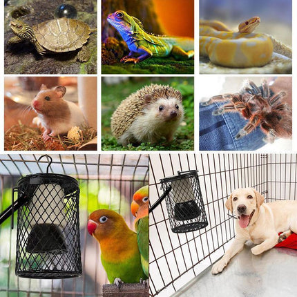 Reptile Ceramic Heat Lamp with Anti-hot Cage Light Holder Switch Set Brooder Pet - Aimall