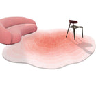 Shaped Cashmere Carpet Living Room Full Blanket Cloakroom Dressing Table