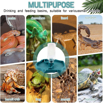 2in1 Reptile Pet Drinker Feeder Water and Food Bowl for Lizard Snake Tortoise