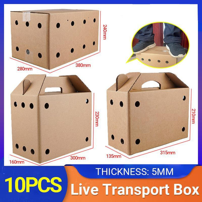 10PCS Disposable Cardboard Pet Carrier - 3 Sizes for Small Animals - Aimall