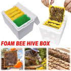 Foam Beekeeping Breeder Box Pollination Bucking Box Beehive Tool