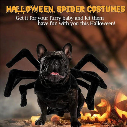 Pet Spooky Big Spider Halloween Costume Dress Up for Dogs Cats and Small Pets
