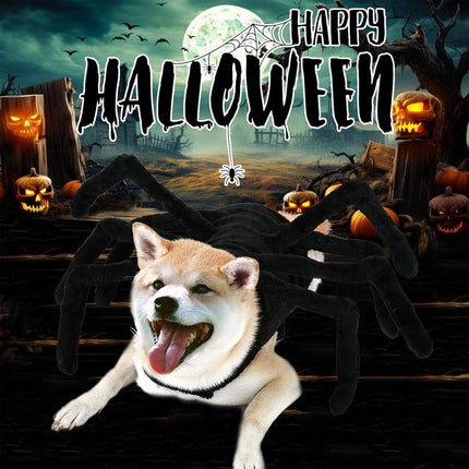 Pet Spooky Big Spider Halloween Costume Dress Up for Dogs Cats and Small Pets