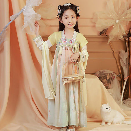 Girls Chinese Hanfu Summer Dress Embroidered Traditional Tang Suit Fairy Costume