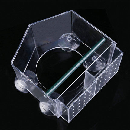 Large Window Bird Feeder Strong Suction Cups Superior Design Lifetime Guarantee - Aimall