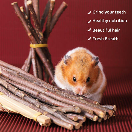 Natural Rabbit Molar Snacks Hamster Branches Sweet Bamboo Grinding Teeth Wood