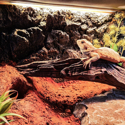 1kg Reptile Sand Desert Matting for Pet Habitat Stone Aquascape Decoration