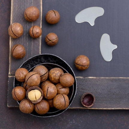 10pcs Macadamia Nut Opener Shell Opener with Iron Blade for Easy Nut Opening
