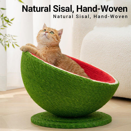 Watermelon Cat Scratching Pot Board All in One Scratcher Toy for Cats Kitten
