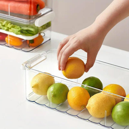 2pcs Food Storage Containers Kitchen Fridge Fresh Storage Boxes Home Organizer