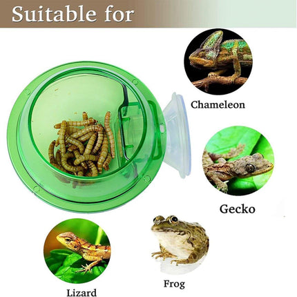 Suction Cup Reptile Feeder Anti-Escape Reptiles Water Bowl Live Fodder Container
