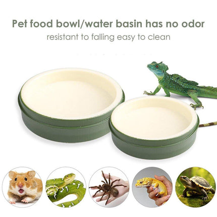 Leaf Shape Reptile Feeding Dish - Natural Food and Water Bowl