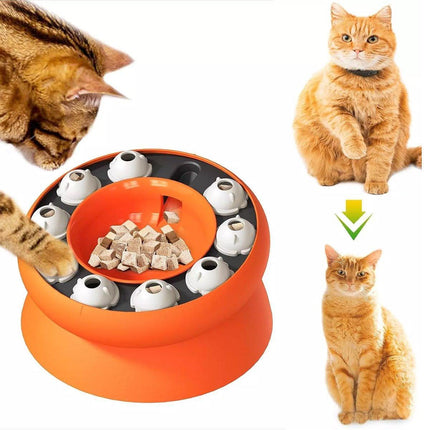 Pet Slow Feeder Interactive Cat Dog Food Dispenser Puzzle Toy for Healthy Eating