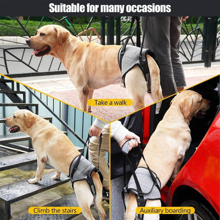 Decompression Back Leg Strap for Injured and Older Dogs Support Harness Aid