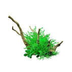 CM2402-Green