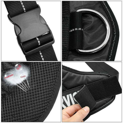 Adjustable Dog Vest Harness for Small Medium Dogs Comfortable No Pull Design