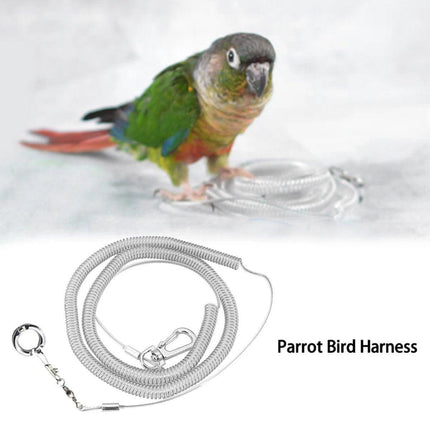 Parrot Leg Ring Anti Slip Bird Anklet Elastic Rope with Alloy Fasteners Supplies