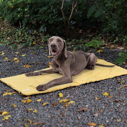 Pet Mat Warm Dog Mat Foldable Storage Kennel Mat Soft Cushion for Pet Bed