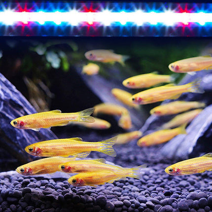 Aquarium Fish Tank Aquarium Light LED Waterproof Full Spectrum Aqua Lamp RGB - Aimall