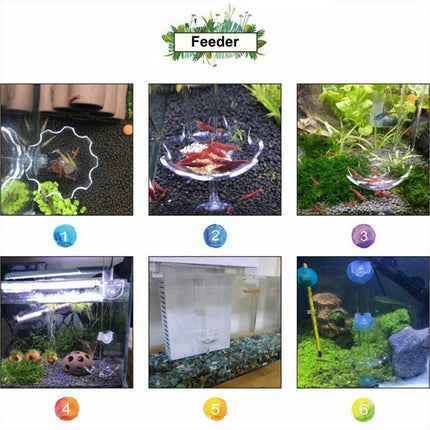 Aquarium Fish Tank Shrimp Food Feeder Clear Glass Feeding Dish Tank Accessory - Aimall
