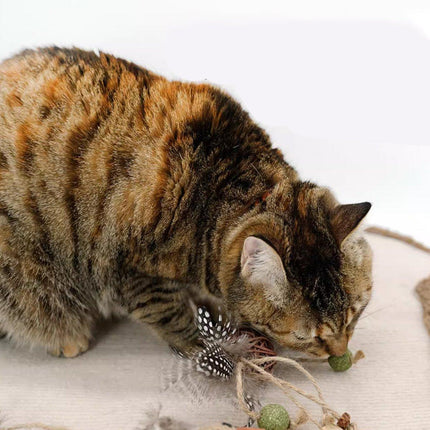Cat Toys Teaser Stick Chewing Teeth Cleaning Grinding Pet Play Stick for Cats