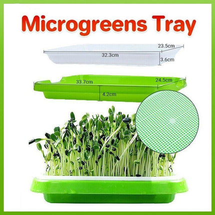 Microgreens Tray, Seeding Cloning Hydroponic Germination Bean Sprout Planting Au - Aimall