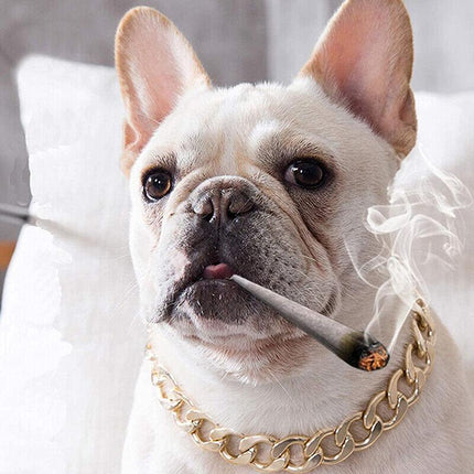 Dog Chain Collar Heavy Duty Choker Double Pet Slip Check Twist Link Chrome Chain Gold - Aimall