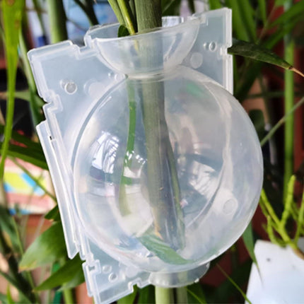50pcs Plant Rooting Device High Pressure Grafting Box for Seedling Branch Garden