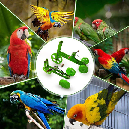 Parrot Bicycle Training Interactive Toy for Birds Chew Play Exercise and Fun