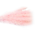 Pink(A 15PCS)