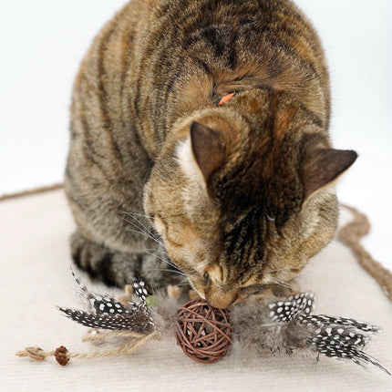 Cat Toys Teaser Stick Chewing Teeth Cleaning Grinding Pet Play Stick for Cats