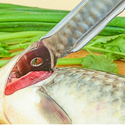 Stainless Steel Fish Scale Knife Easy Home Scale Removal Kitchen Tool Scraper